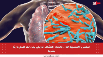 البكتيريا المسببة لأول جائحة: اكتشاف تاريخي يحل لغز أقدم كارثة بشرية